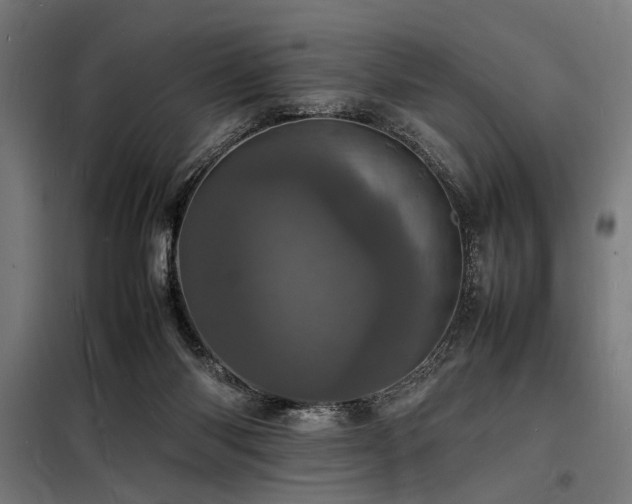 X0000098180118200804241230
