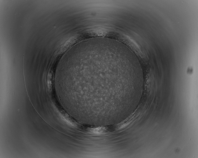 X0000098180122200804241230