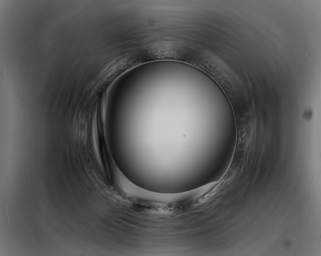 X0000098180124200804241230