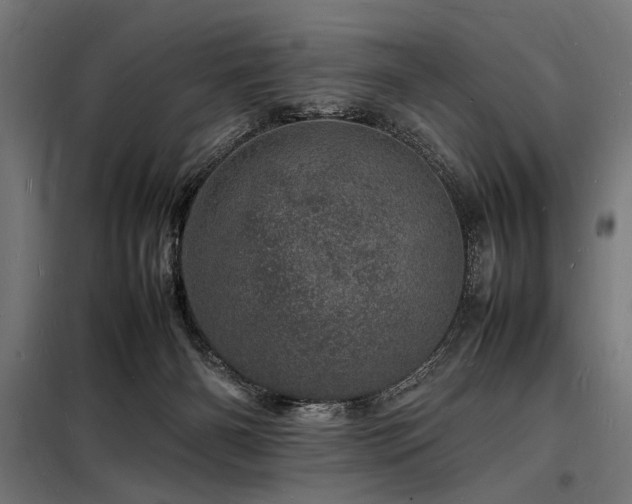 X0000098180126200804241230