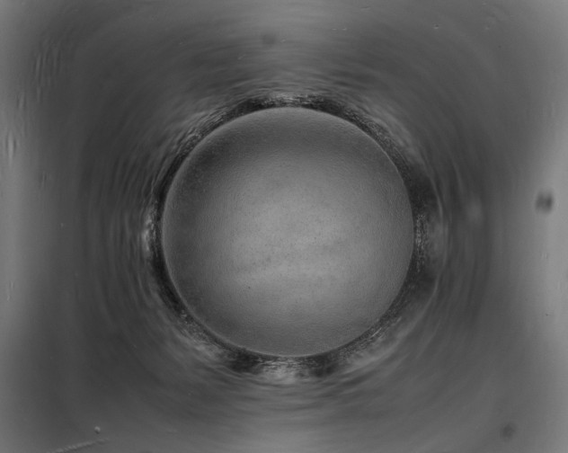 X0000098180127200804241230