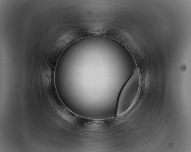 X0000098180128200804241230
