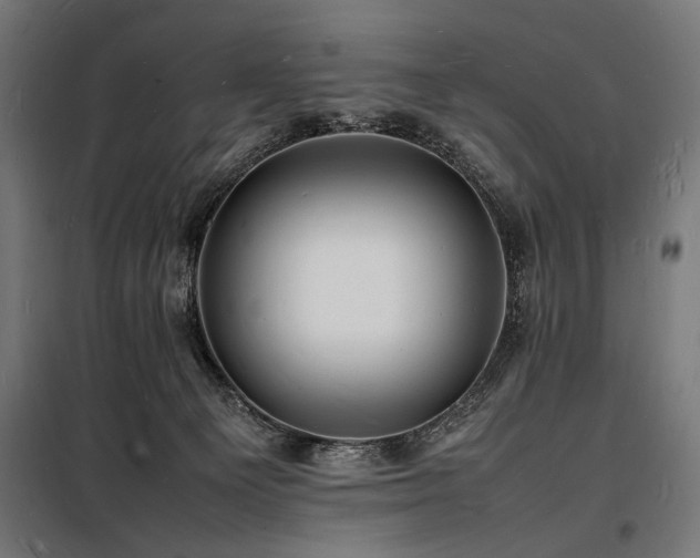 X0000098180129200804241230