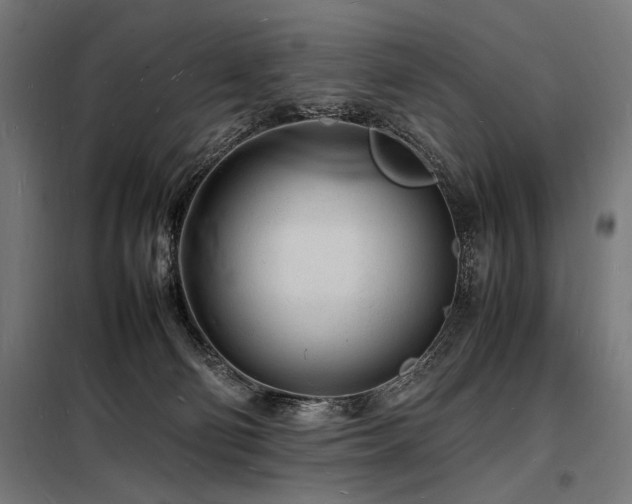 X0000098180130200804241230