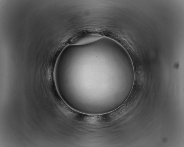 X0000098180131200804241230
