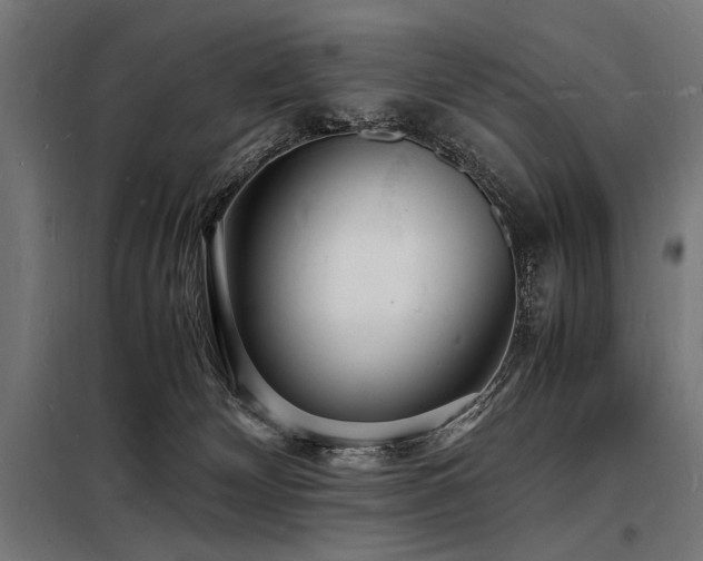 X0000098180132200804241230