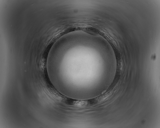 X0000098180135200804241230