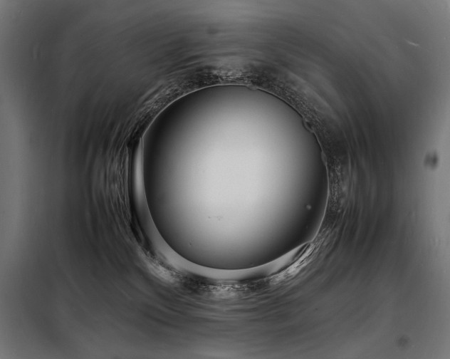 X0000098180136200804241230