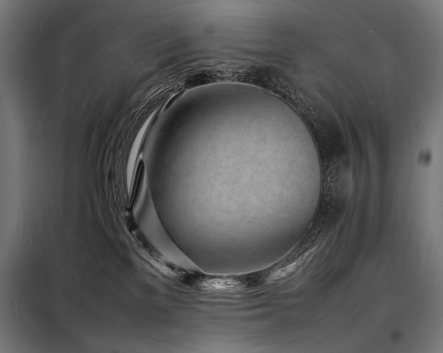 X0000098180137200804241230