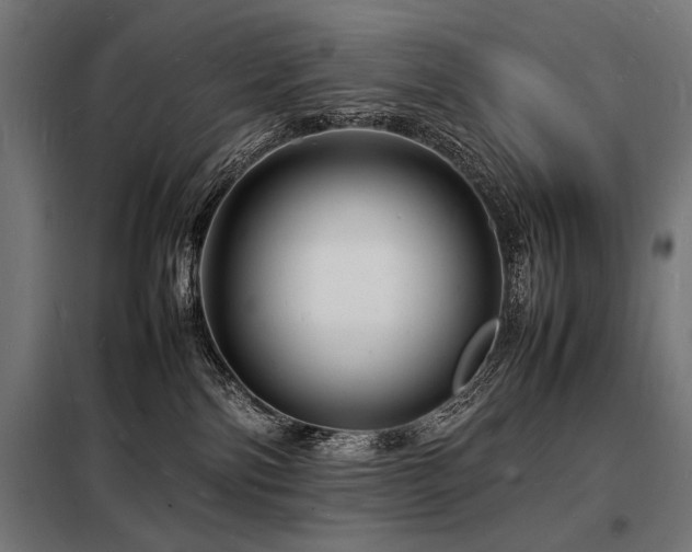 X0000098180138200804241230