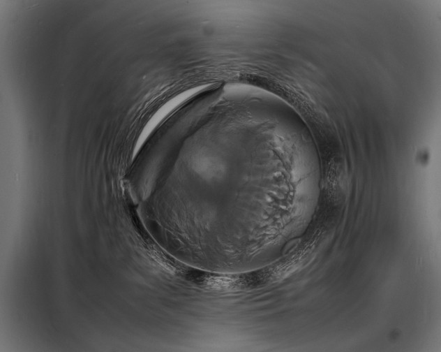 X0000098180139200804241230