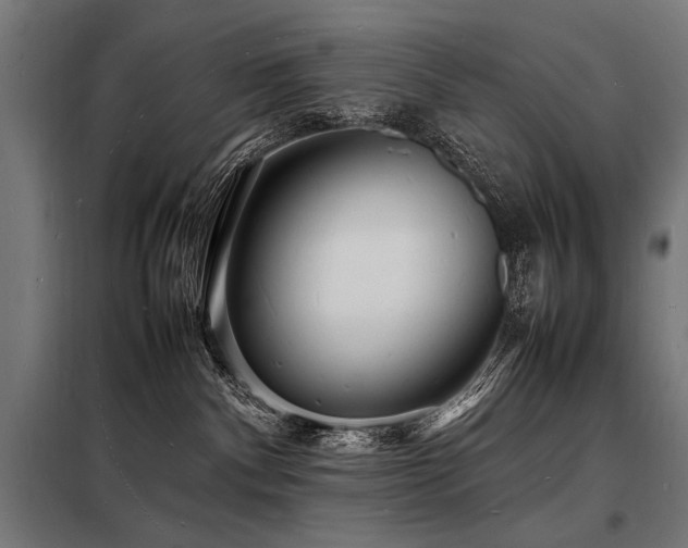 X0000098180140200804241230