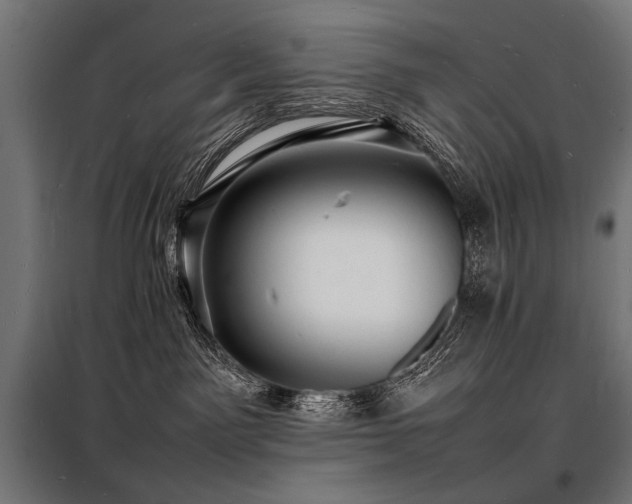 X0000098180141200804241230