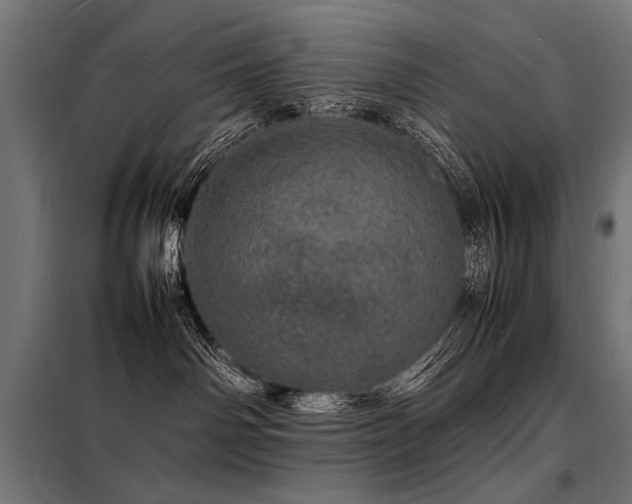 X0000098180142200804241230