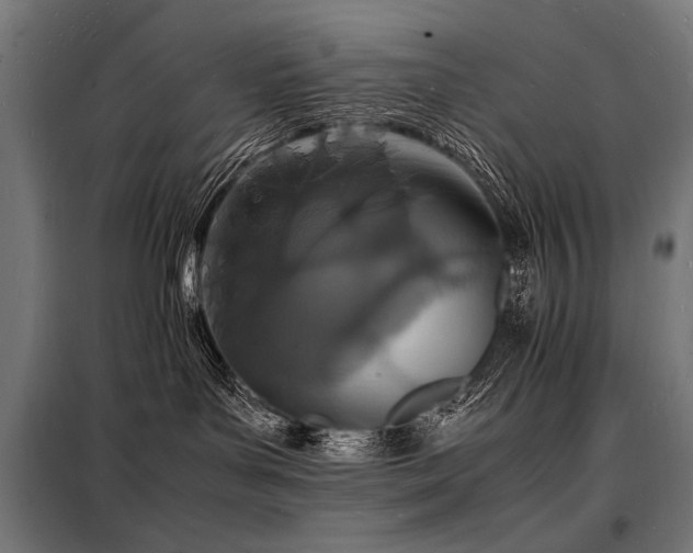X0000098180143200804241230