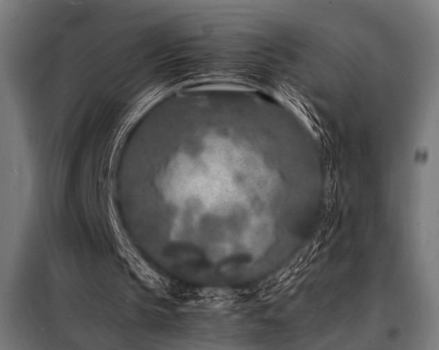 X0000098180145200804241229
