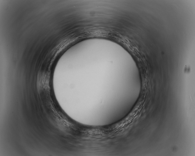 X0000098180146200804241229