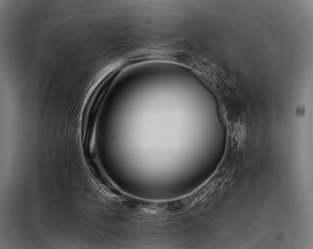 X0000098180148200804241229