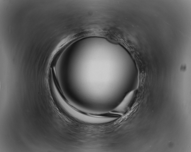 X0000098180150200804241229