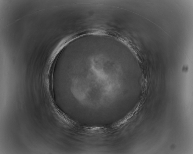 X0000098180151200804241229