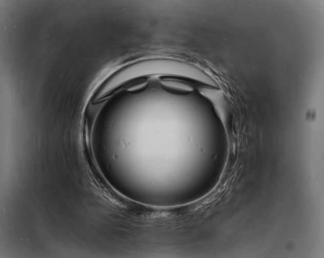 X0000098180152200804241229
