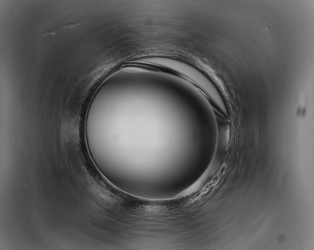 X0000098180154200804241229