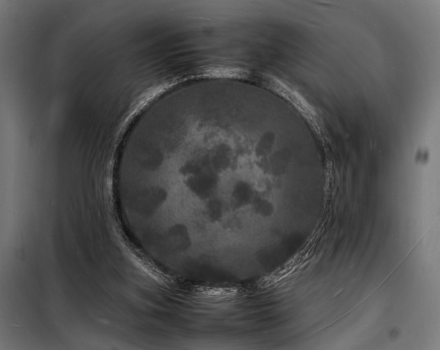 X0000098180155200804241229