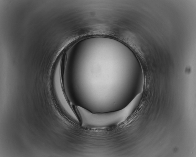 X0000098180156200804241229