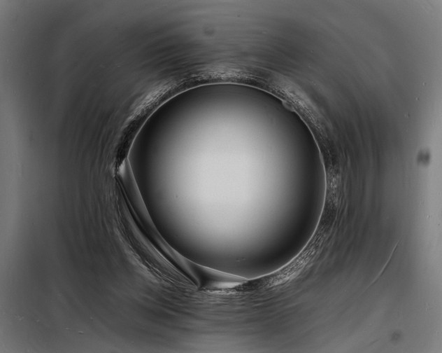 X0000098180158200804241229