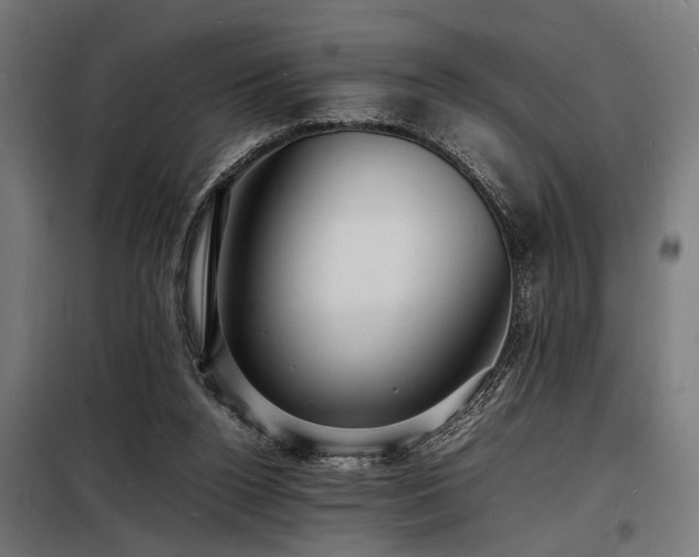 X0000098180160200804241229