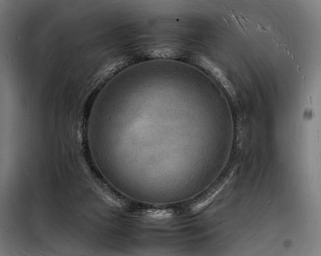 X0000098180161200804241229