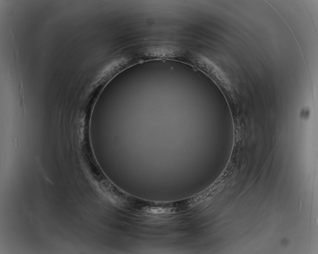 X0000098180163200804241229
