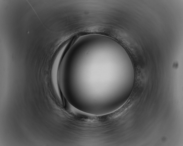 X0000098180164200804241229
