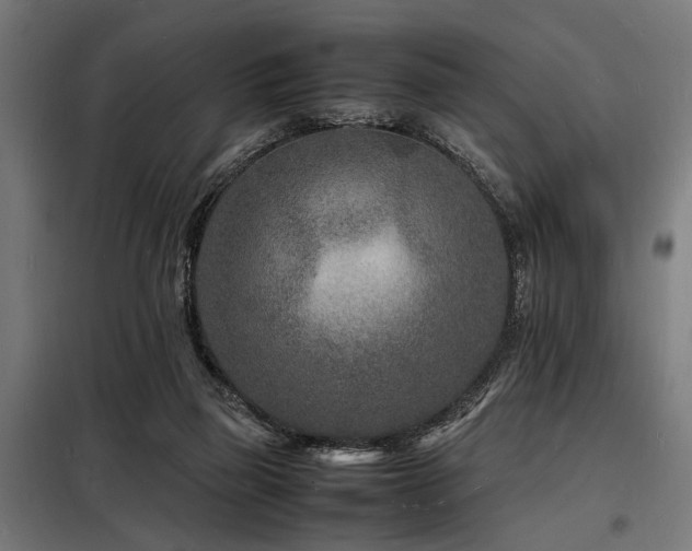 X0000098180165200804241229