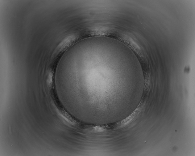 X0000098180166200804241229