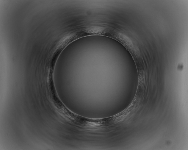 X0000098180167200804241229