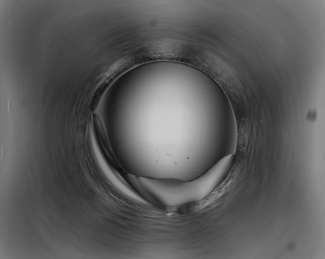 X0000098180168200804241229