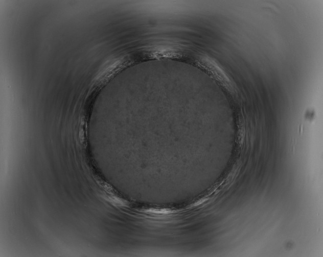 X0000098180169200804241229