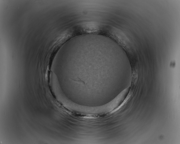 X0000098180170200804241229