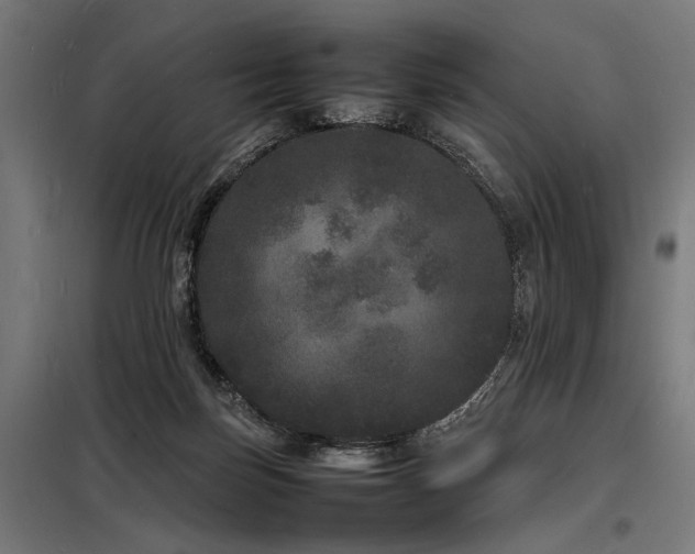 X0000098180171200804241229