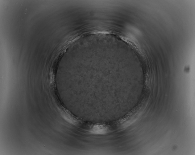 X0000098180173200804241229