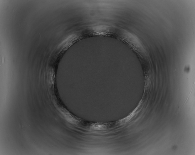 X0000098180174200804241229