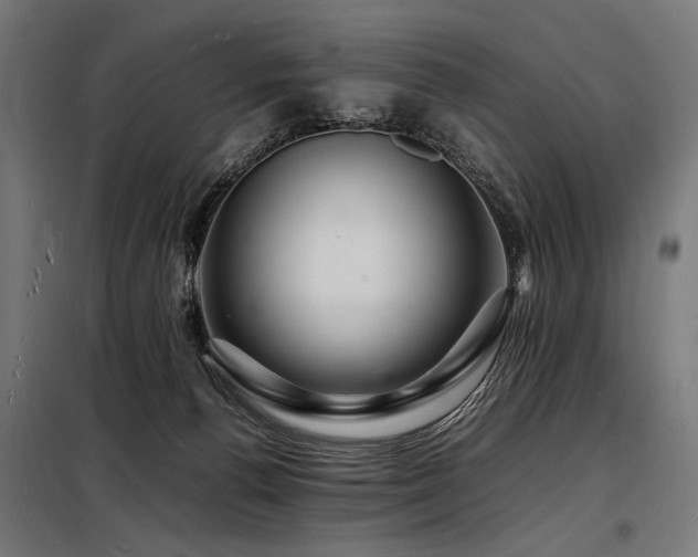 X0000098180176200804241229