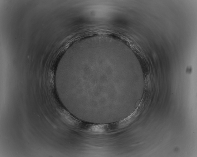 X0000098180178200804241229