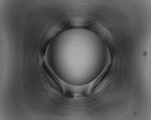 X0000098180180200804241230
