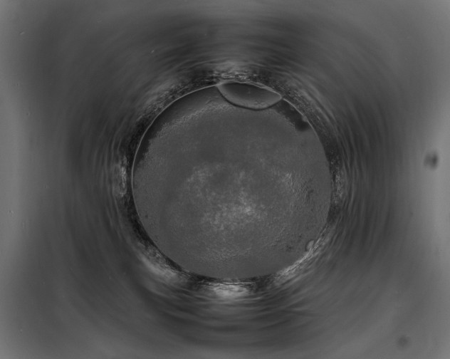 X0000098180183200804241230