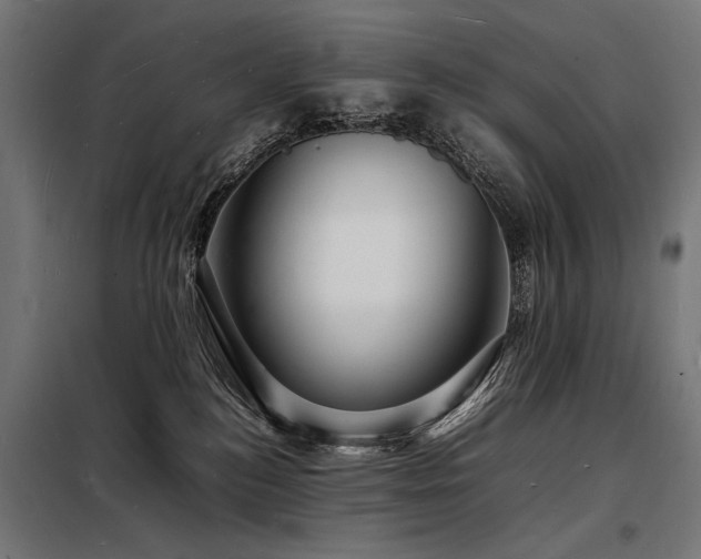 X0000098180184200804241230