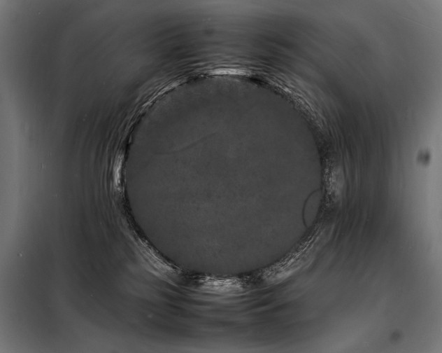 X0000098180185200804241230