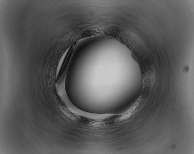 X0000098180186200804241230