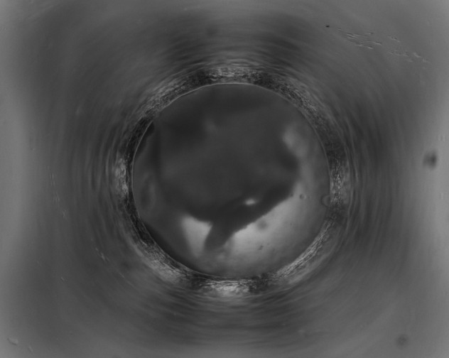 X0000098180187200804241230